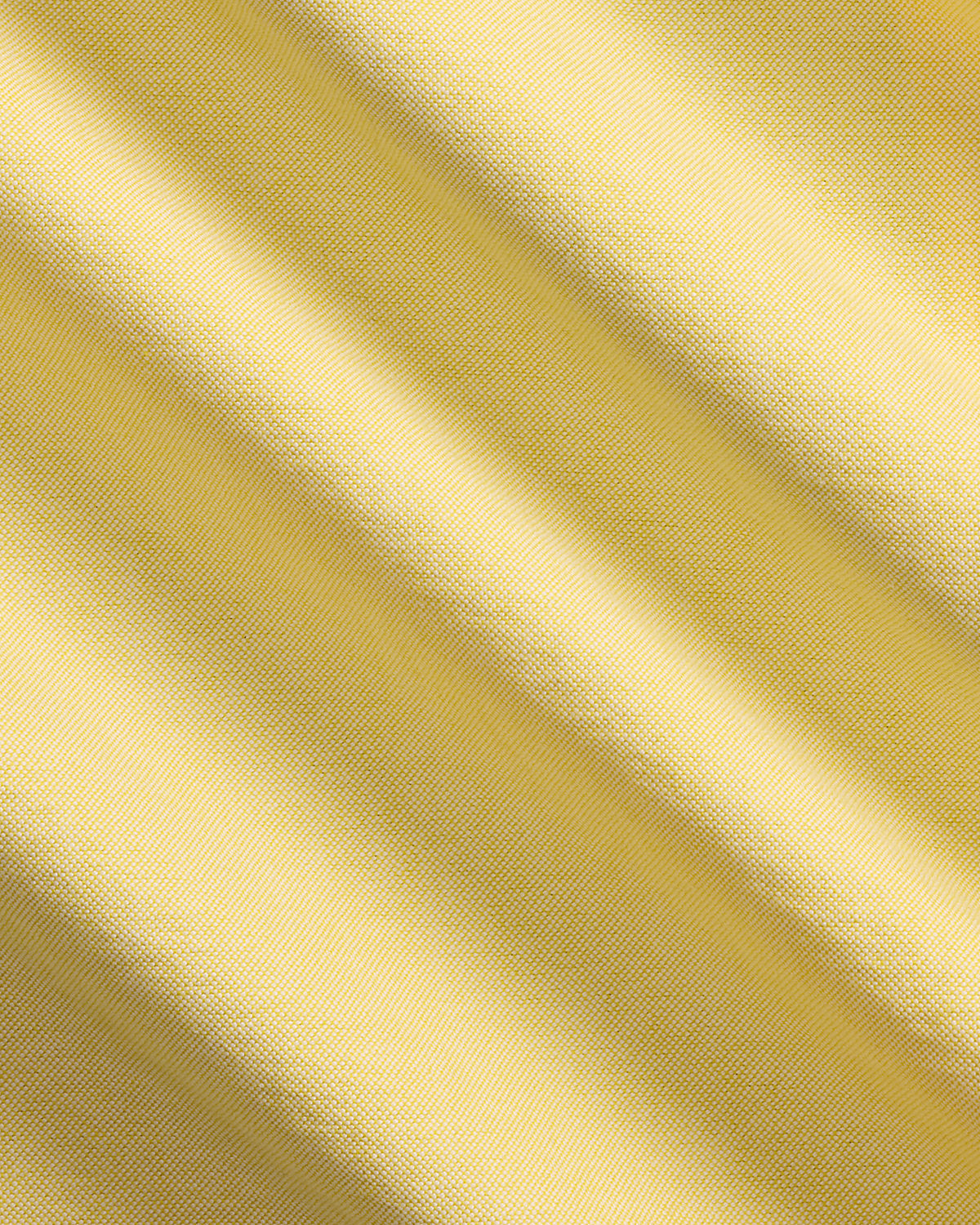 Oxford Fun Shirt