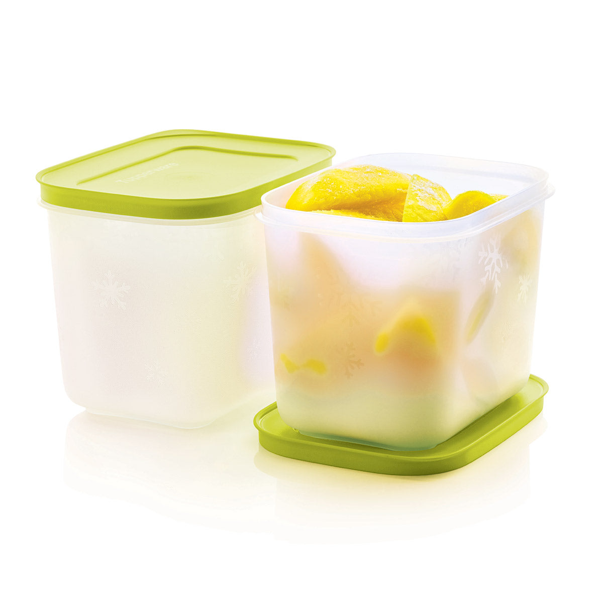 Freezer MatesPlus | Starter Set