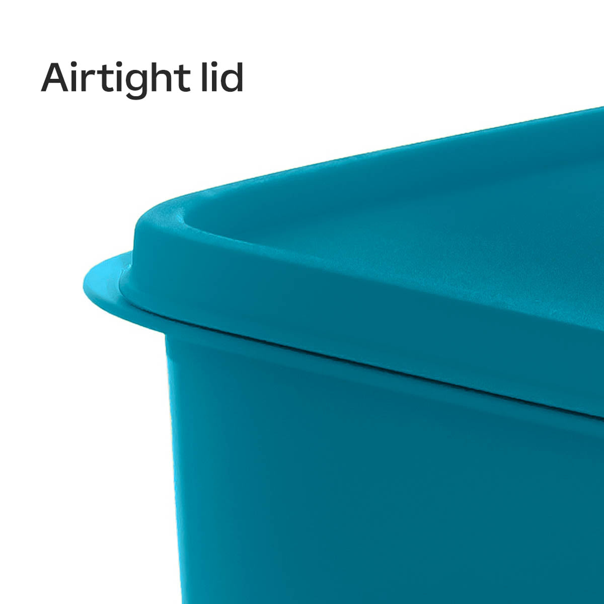 LunchItLarge Container