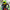 Motorcycle Helmet Cover - Frog