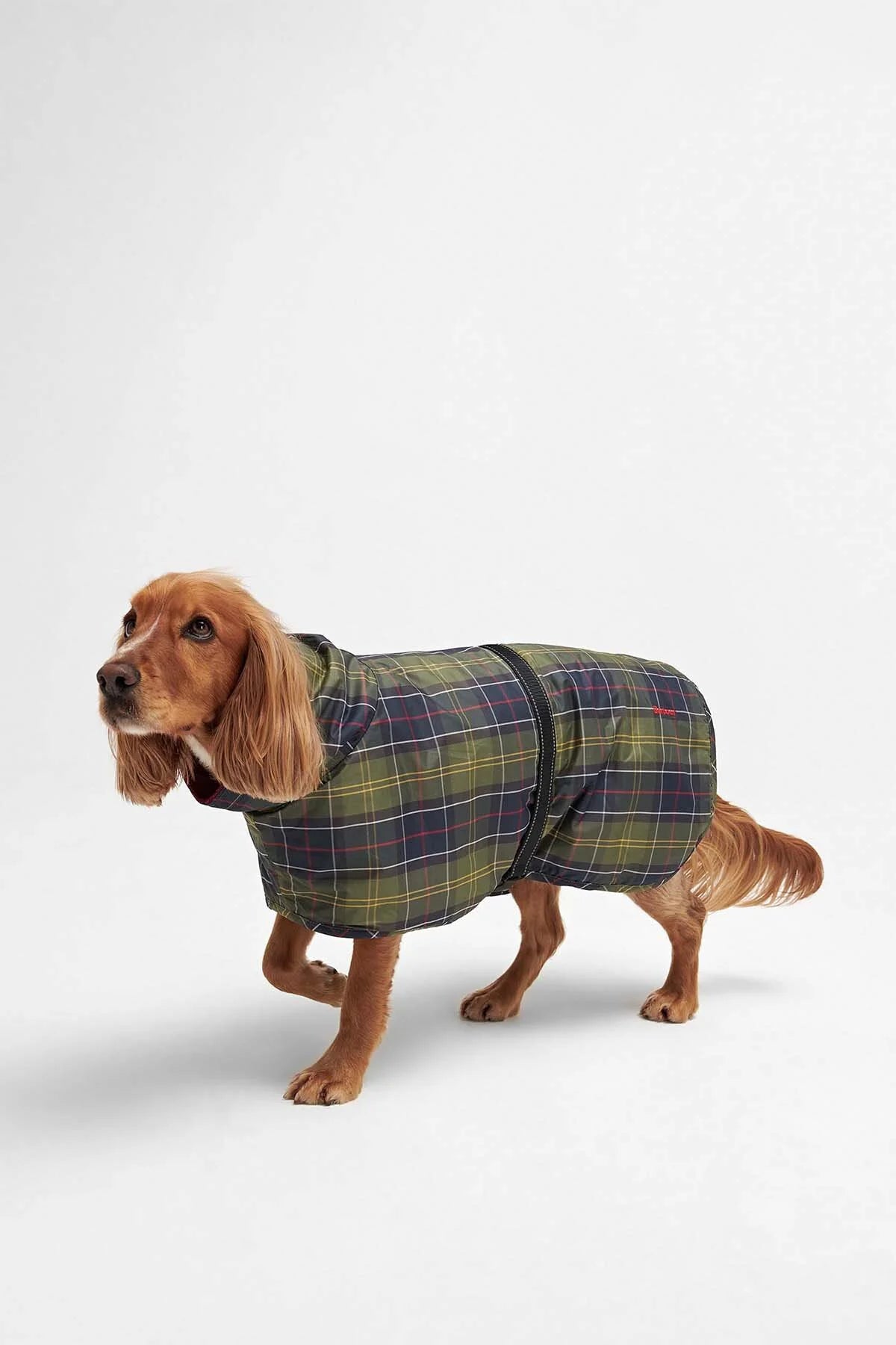 Tartan Dog Drying Robe - CLASSIC TARTAN