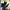 Motorcycle Helmet Cover - Bumble Bee