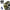 CE2 certified carbon fiber protective gear set - Y05