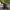 Motorcycle Helmet Cover - Pink Bunny