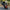 Motorcycle Helmet Cover - Bumble Bee