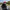Motorcycle Helmet Cover - Pig
