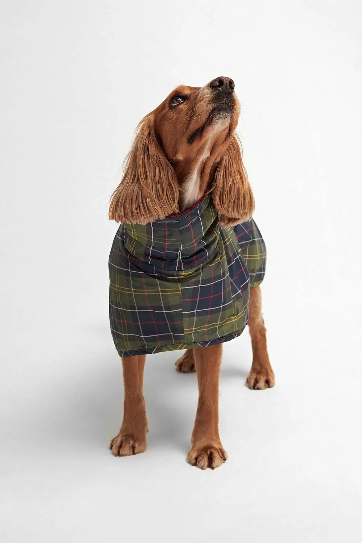 Tartan Dog Drying Robe - CLASSIC TARTAN