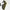 CE certified widened protective gear set-Y17