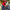 Motorcycle Helmet Cover - Red Bunny