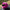 Motorcycle Helmet Cover - Pink Narwhal