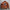 American-style Felix G1 Genuine Leather Flight Jacket-J50