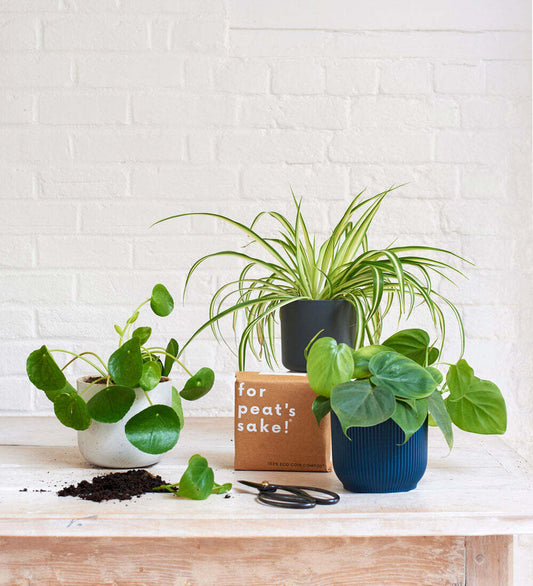 Propagation Bundle