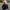 Motorcycle Helmet Cover - Pig