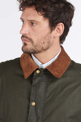 ARCHIVE OLIVE