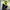 Motorcycle Helmet Cover - Goblin