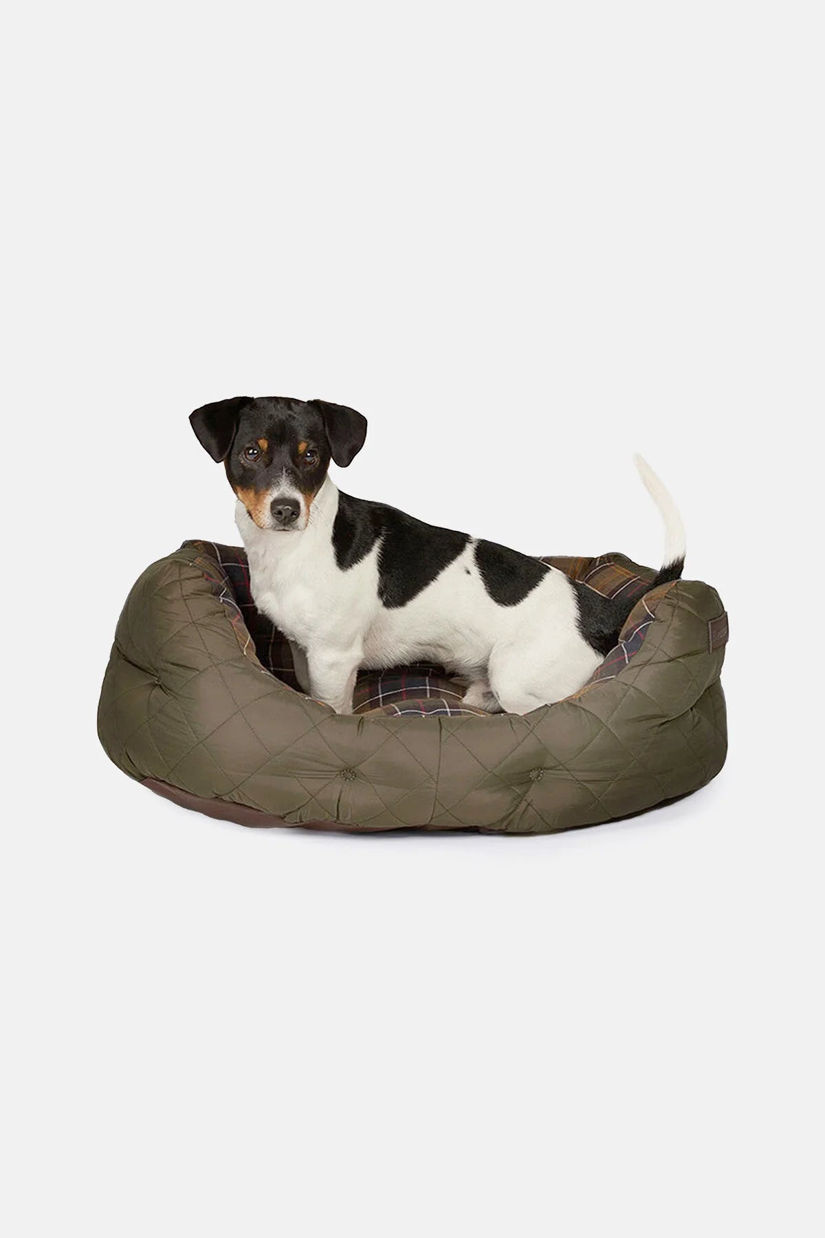 Quilted Dog Bed 24in - OLIVE