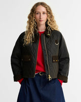 Olive/Classic
