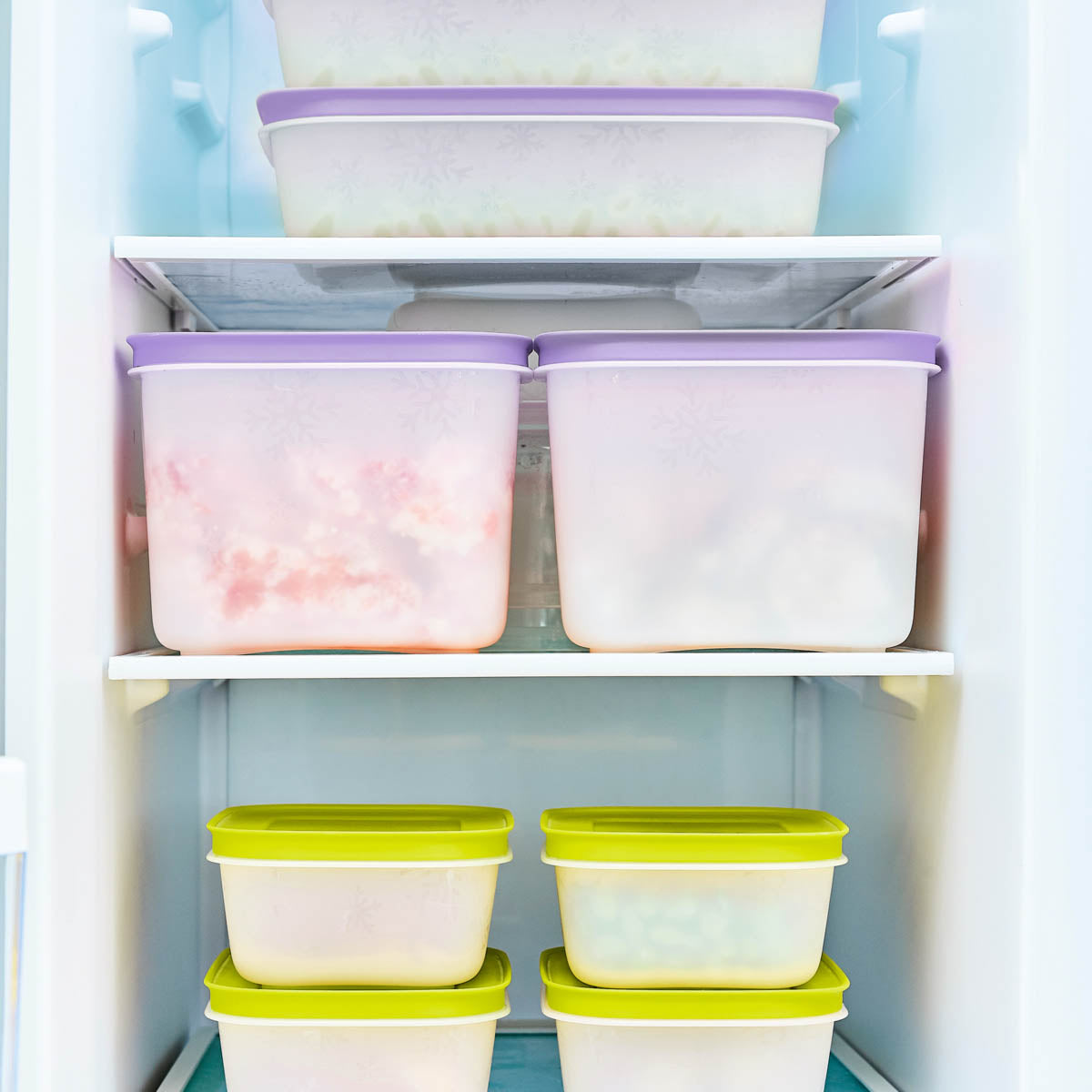 Freezer MatesPlus | Starter Set