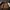 American Air Force A2 Pilot Jacket - J46