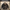 American Dispatcher Horsehide Leather Motorcycle Jacket-J21