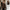 Vintage distressed A2 Pakistani goatskin flight jacket - J43