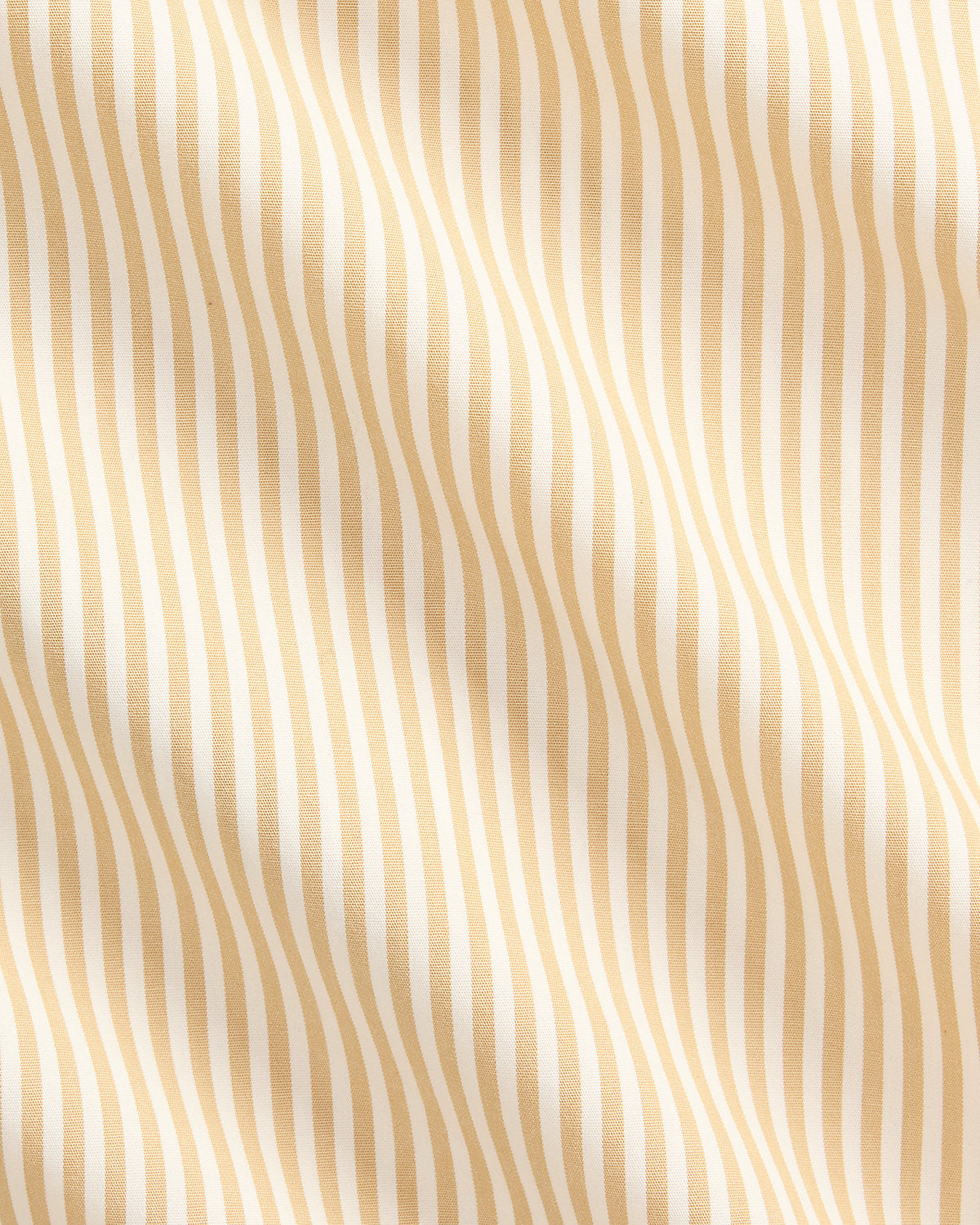Striped Stretch Poplin Shirt