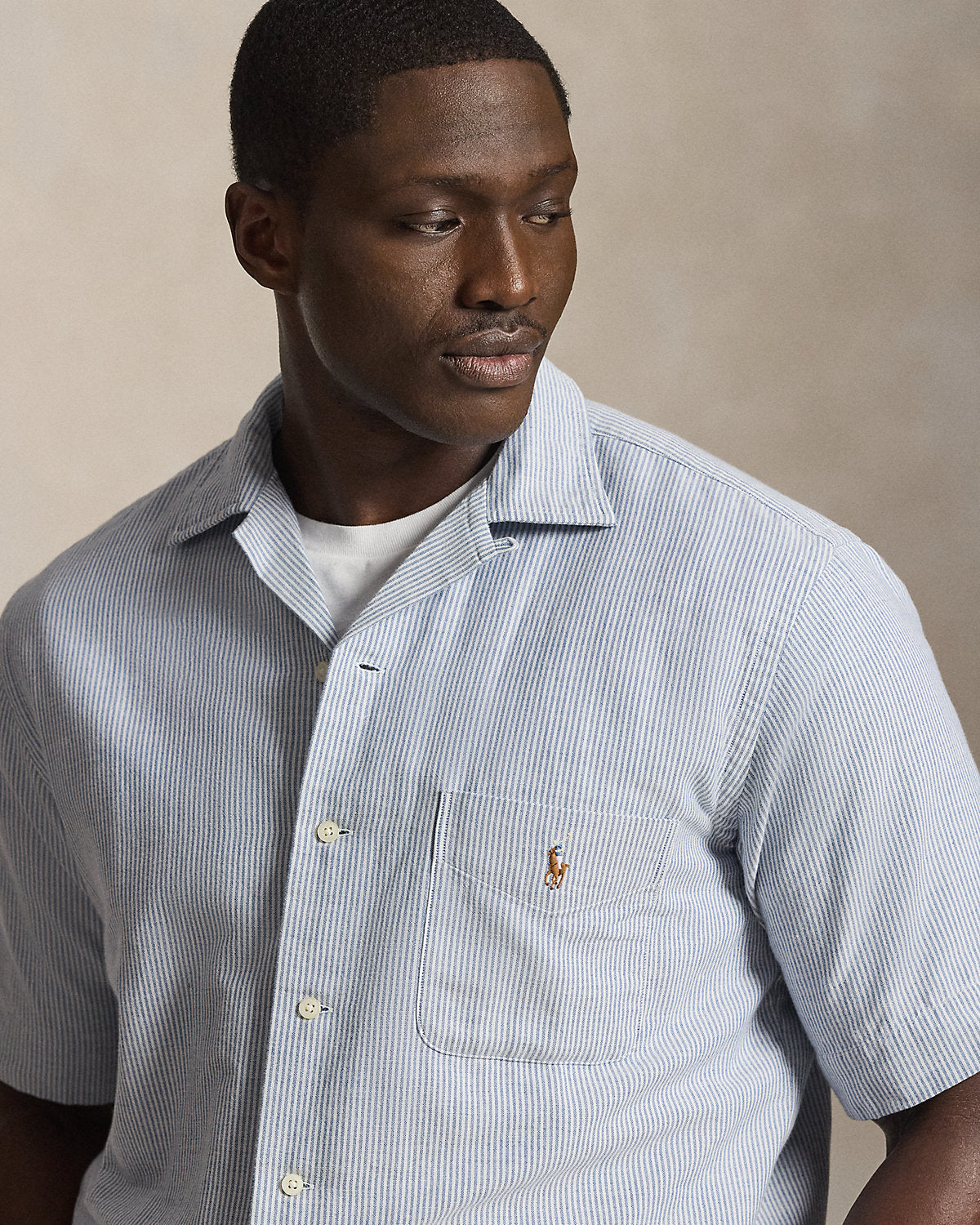 Striped Oxford Camp Shirt
