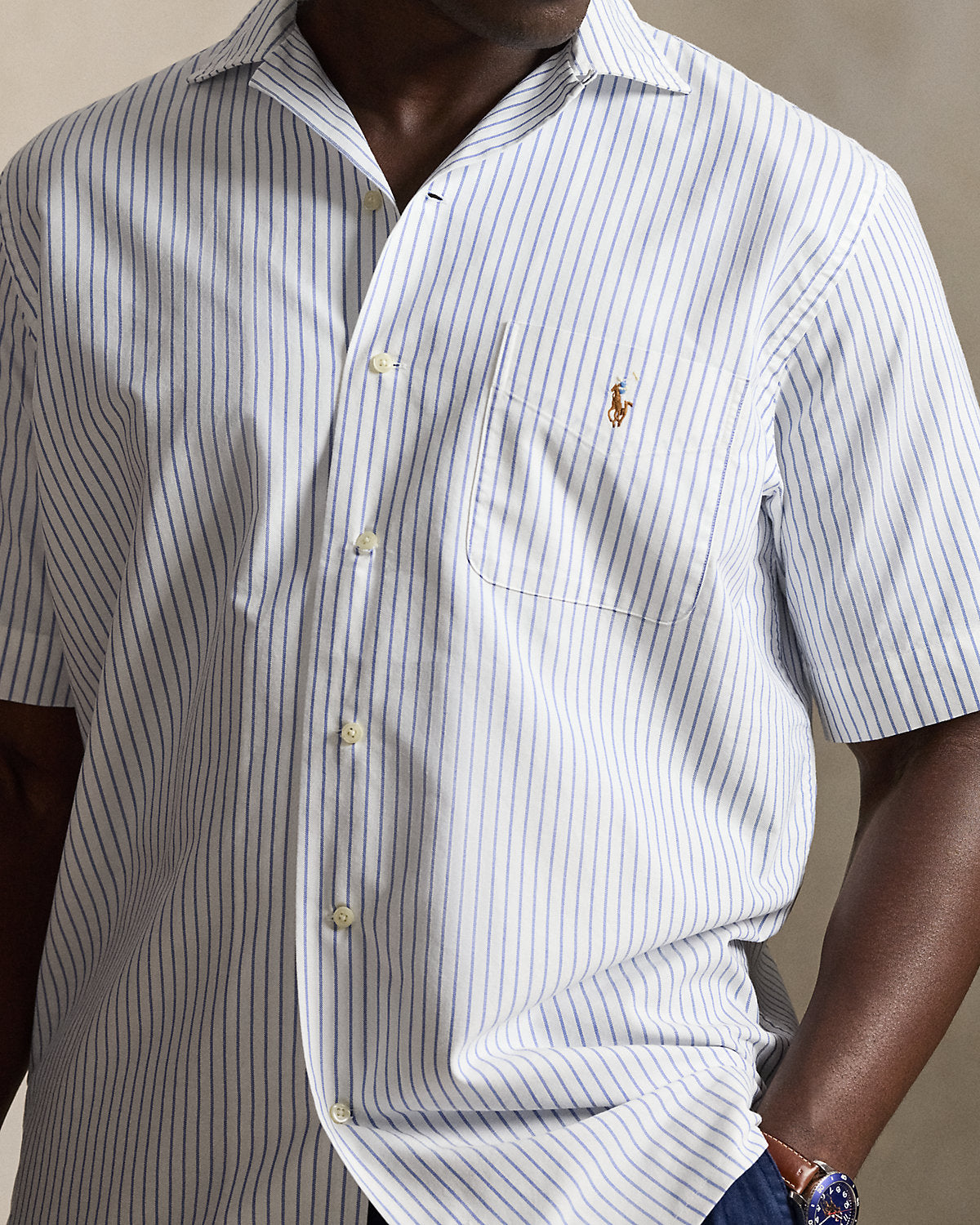 Striped Oxford Camp Shirt